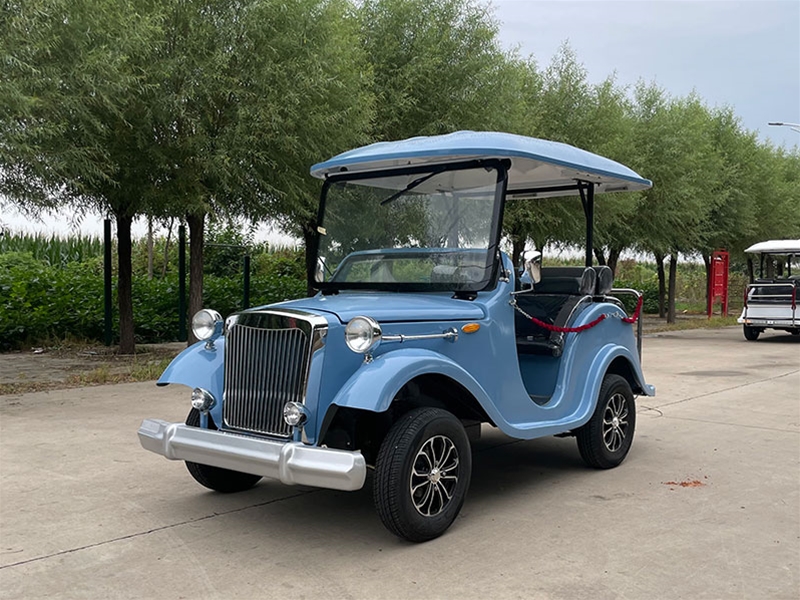 老爺車2排5坐